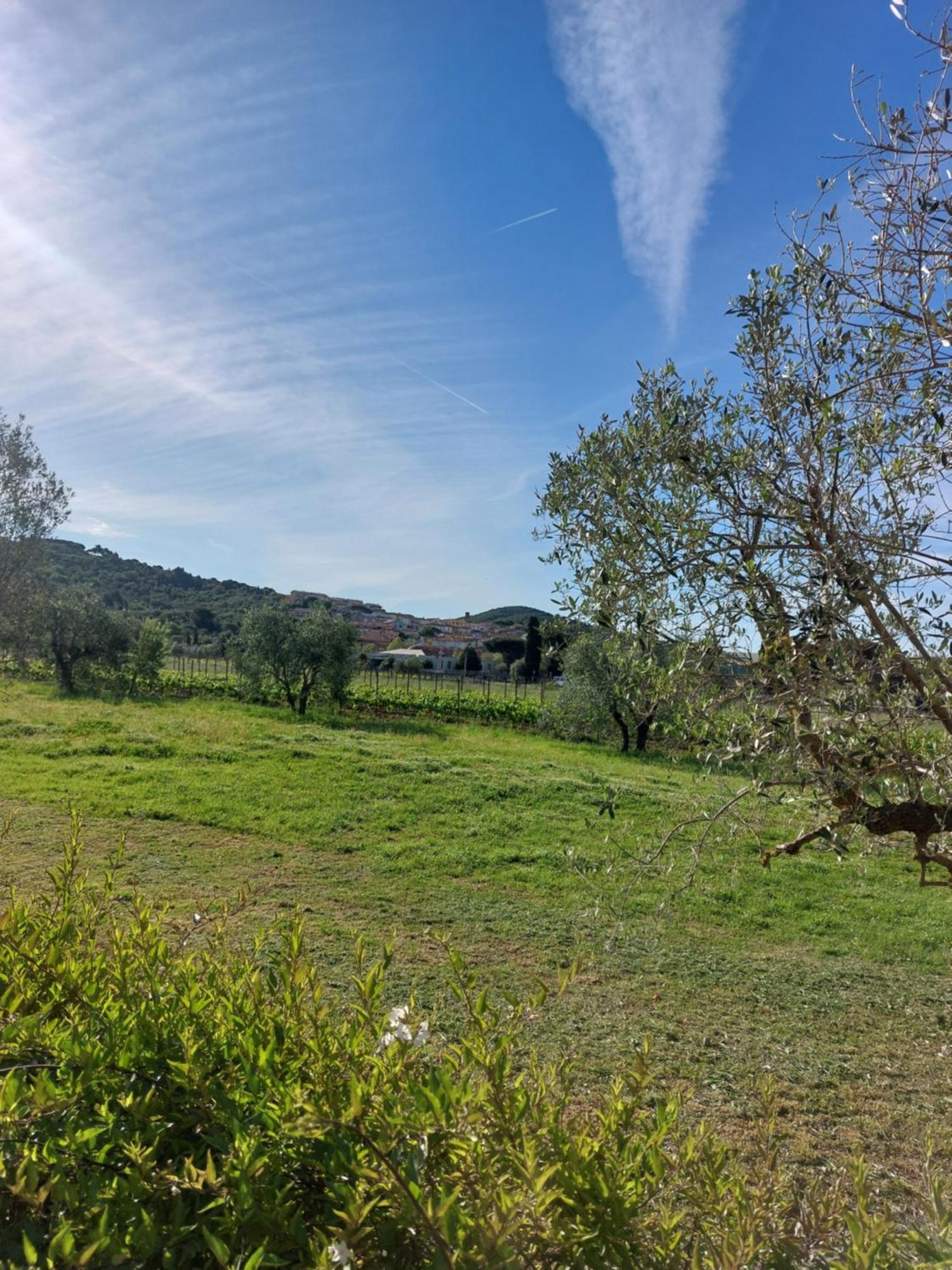 Vento E Mare Bed & Breakfast Riotorto Bagian luar foto